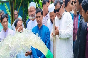 বড়লেখায় সৌরচালিত সেচ পাম্প ও হ্যামার মিলের উদ্বোধন