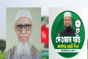 জোটের সিদ্ধান্ত অমান্য করেও মৌলভীবাজারে দাড়িপাল্লা পেয়েছেন জামায়াত প্রার্থী