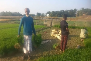 মৌলভীবাজারে খাল দখল ও ভরাটে পানিশূন্যতা, হাওরের বোরো চাষ হুমকিতে