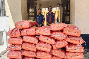 গোয়াইনঘাট সীমান্ত এলাকা থেকে ৩১ বস্তা জিরা ও বারকি নৌকা জব্দ