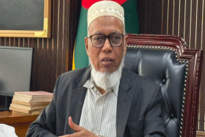 নভেম্বরের মাঝামাঝিতে শুরু হবে স্থানীয় সরকার নির্বাচন: ইসি মাছউদ