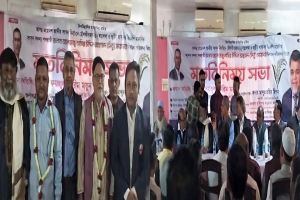 বড়লেখায় বিএনপির নির্বাচনী প্রস্তুতি সভা: দুই নেতার যোগদান