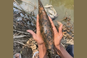 শ্রীমঙ্গলে খাল খননের সময় পরিত্যক্ত মর্টার শেল উদ্ধার