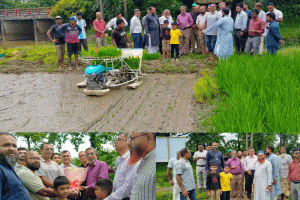আধুনিক প্রযুক্তিতে কৃষি উন্নয়ন: ছাতকে ৬০ কৃষক-কৃষাণীর দিনব্যাপী প্রশিক্ষণ