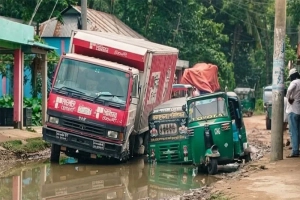 নবীগঞ্জের এক বেহাল সড়কে ধান পরিবহনে চরম ভোগান্তিতে চার উপজেলার কৃষক