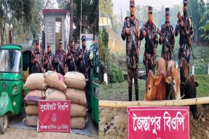 জৈন্তাপুর ও কানাইঘাটে ভারতীয় গরু–মহিষসহ অবৈধ মালামাল জব্দ