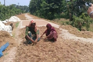 ১৫০ কোটির বাঁধ যখন কৃষকের মরণফাঁদ!