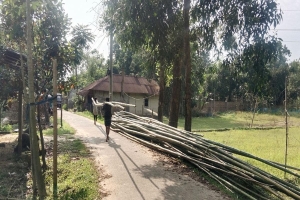 মৌলভীবাজারে নির্বিচারে গাছ ও বাঁশ পাচারে হুমকির মুখে সংরক্ষিত বন