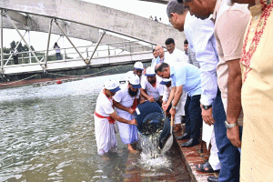 জিয়া ‍উদ্যানের লেকে মাছের পোনা অবমুক্ত করলেন: প্রধানমন্ত্রী