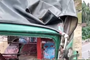 বড়লেখায় চলন্ত সিএনজি চলাকালীন অবস্থায় গাছ পড়ে নারীর মৃত্যু