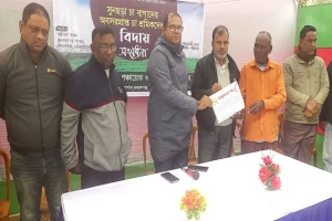 মৌলভীবাজারে অবসরপ্রাপ্ত ৯৩ জন চা শ্রমিককে বিদায়ী সংবর্ধনা
