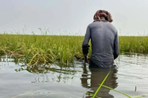 মৌলভীবাজারে পাম্প হাউস সিন্ডিকেটে ডুবছে কৃষকের স্বপ্ন