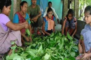 আদিবাসী হিসেবে স্বীকৃতি ও ভূমির অধিকার চান ক্ষুদ্র নৃগোষ্ঠীর মানুষ