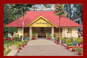 মুক্তিযুদ্ধের গৌরবোজ্জ্বল স্মৃতির সিলেট ওসমানী জাদুঘর