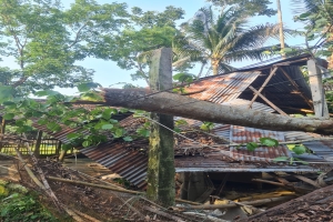কালবৈশাখী ঝড়ে লণ্ডভণ্ড ওসমানীনগর: বিদ্যুৎহীন জনপদ