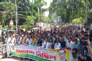 হবিগঞ্জে জেলা বিএনপির আনন্দ মিছিল