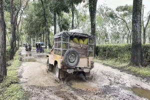 শ্রীমঙ্গলের কালিঘাট-খেজুরিছড়া ১৩ কিলোমিটার সড়ক জুড়েই দুর্ভোগ