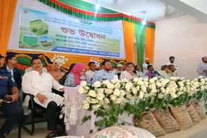 বড়লেখায় আউশ ধানের প্রণোদনা কর্মসূচির উদ্বোধন