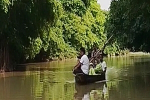 রাতারগুলে ভিড়ের মধ্যে মুগ্ধতা, নৌকা ভাড়া নিয়ে অসন্তোষ