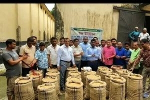তাহিরপুরে সরকারি ধান-চাউল ক্রয়ের উদ্বোধন