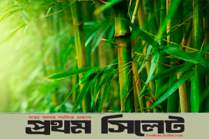  বাঁশ থেরাপি !