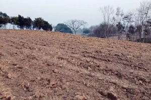 ​শমশেরনগর গলফ মাঠ খুঁড়ে চা ও রাবার গাছ রোপণ: অস্তিত্ব সংকটে পর্যটন কেন্দ্র