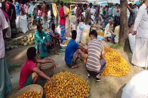 মৌলভীবাজারের শতবর্ষী প্রাচীন সুপারির হাট কামালপুর বাজার