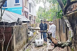 কমলগঞ্জে কালবৈশাখীর তাণ্ডব: বিদ্যুৎ লাইন ও খুঁটি বিধ্বস্ত, অন্ধকারে জনপদ