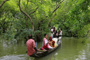 তিন মাস পর আজ থেকে উন্মুক্ত হচ্ছে  সুন্দরবন