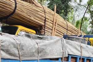শায়েস্তাগঞ্জে চোরাই মেহগনি কাঠসহ ট্রাক আটক