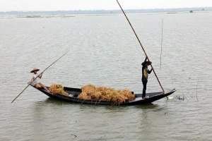 এক মণ ধানেও মিলছে না শ্রমিকের মজুরি
