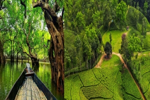 সিলেটে পর্যটকের ঢল, শতকোটি টাকার বাণিজ্যের প্রত্যাশা