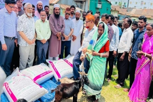মাধবপুরে ক্ষুদ্র নৃ-গোষ্ঠী পরিবারের মাঝে ছাগল বিতরণ