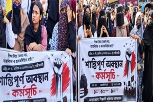 তুমি কে, আমি কে? ‘পোল্ট্রি পোল্ট্রি’!