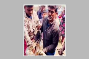 শ্রীমঙ্গলে ঘরের সিলিং থেকে ১০ ফুটের অজগর উদ্ধার