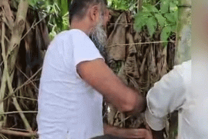 সিলেটের বিশ্বনাথে ধানক্ষেত থেকে বৃদ্ধের লাশ উদ্ধার