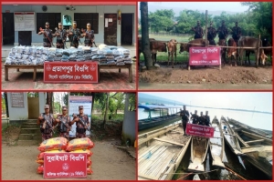 সিলেট সীমান্তে কোটি টাকার ভারতীয় পণ্য জব্দ