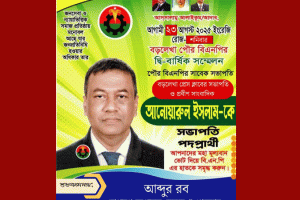 বড়লেখা প্রেসক্লাব সভাপতি যখন পৌর বিএনপির সভাপতি প্রার্থী!