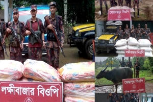 সিলেটে বিজিবি'র পৃথক অভিযানে ১ কোটি ৭ লাখ টাকার ভারতীয় মালামাল জব্দ