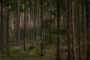 আজকের দিনপুঞ্জি