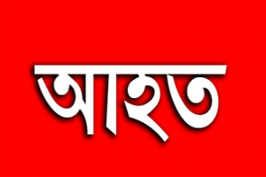 দোয়ারাবাজারে পূর্ববিরোধের জেরে হামলা, নারীসহ একই পরিবারের তিনজন আহত