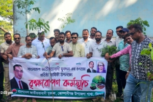 কোম্পানীগঞ্জে যুবদলের ৪৭তম প্রতিষ্ঠাবার্ষিকীতে বৃক্ষরোপণ কর্মসূচি পালন