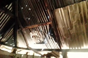 কমলগঞ্জে শিলাবৃষ্টিতে চা বাগানের অর্ধশতাধিক শ্রমিকের ঘর বিধ্বস্ত