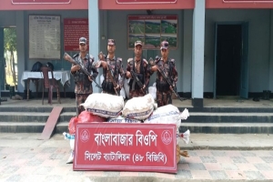 সিলেট সীমান্তে  বিজিবির অভিযানে চার কোটি টাকার চোরাই পণ্য জব্দ