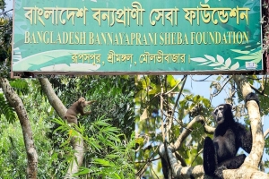 শ্রীমঙ্গলে এক বছরে লোকালয় থেকে ৬৭ বন্যপ্রাণী উদ্ধার