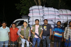 চুনারুঘাটে পিকআপ ভর্তি ২৬ মণ অবৈধ কয়লা জব্দ