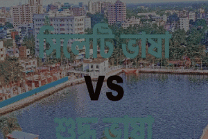 বহুল ব্যবহৃত সিলেটি ভাষা (অর্থসহ)