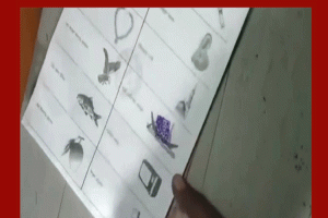 বড়লেখায় পোলিং এজেন্ট স্বপন দেবের দুই বছরের দণ্ড বহাল