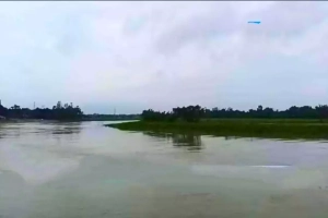 অস্তিত্ব সংকটে কাওয়াদিঘী হাওর: হারিয়ে যাচ্ছে জীববৈচিত্র্য