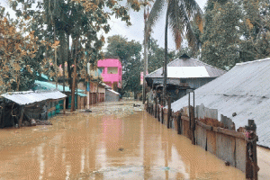 পানিবন্দি ৩০ হাজার মানুষ